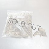 雛ウズラ　１１００